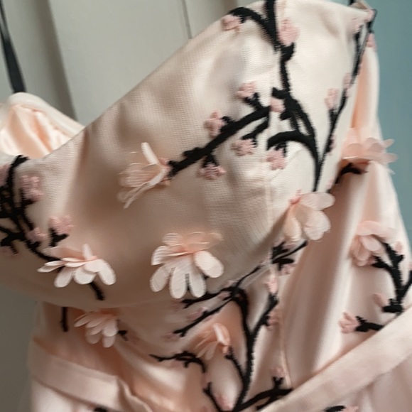 Jadore Evening/Prom Dress - Picture 8 of 10